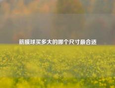 筋膜球买多大的哪个尺寸最合适