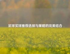 足球买球推荐选择与策略的完美结合
