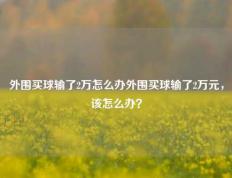 外围买球输了2万怎么办外围买球输了2万元，该怎么办？