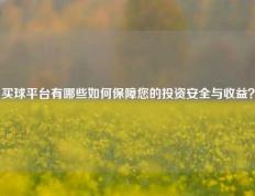 买球平台有哪些如何保障您的投资安全与收益？