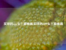 买球的app头三脚难踢买球的APP头三脚难踢