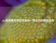 nba常规赛买球软件助你一臂之力的明智选择