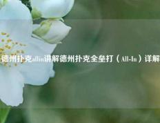德州扑克allin讲解德州扑克全垒打（All-In）详解