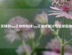 买球的app正规吗购球App正规性探讨与选择指南