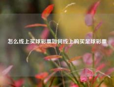 怎么线上买球彩票如何线上购买足球彩票