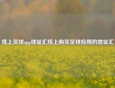 线上买球app球址汇线上购买足球应用的地址汇
