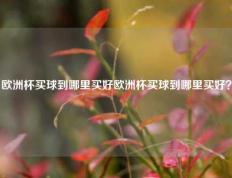 欧洲杯买球到哪里买好欧洲杯买球到哪里买好？