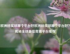 欧洲杯买球哪个平台好欧洲杯买球哪个平台好？揭秘全球最佳竞猜平台推荐