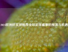 2024欧洲杯买球推荐全球足球盛事的预演与机遇