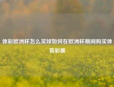 体彩欧洲杯怎么买球如何在欧洲杯期间购买体育彩票