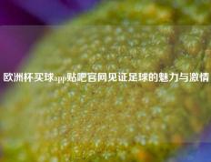 欧洲杯买球app贴吧官网见证足球的魅力与激情