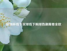 欧洲杯线下买球线下购球热潮席卷全欧
