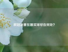欧冠决赛在哪买球尽在何处？