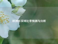 欧洲杯买球比率预测与分析