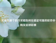 买球在哪个软件买稳如何在稳定可靠的软件中购买足球彩票