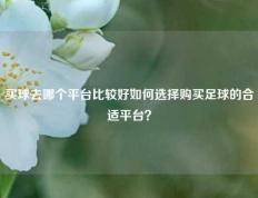 买球去哪个平台比较好如何选择购买足球的合适平台？