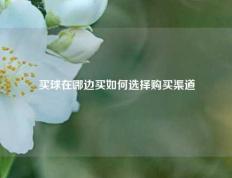 买球在哪边买如何选择购买渠道
