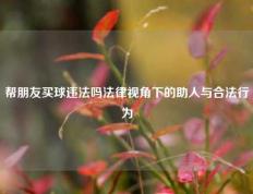 帮朋友买球违法吗法律视角下的助人与合法行为
