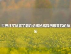 世界杯买球赢了翻几倍揭秘高额回报背后的秘密