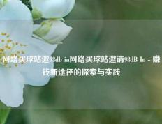 网络买球站邀98db in网络买球站邀请98dB In - 赚钱新途径的探索与实践
