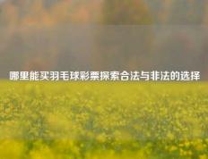 哪里能买羽毛球彩票探索合法与非法的选择