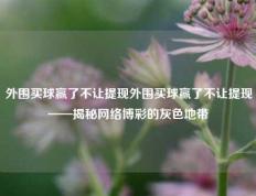 外围买球赢了不让提现外围买球赢了不让提现——揭秘网络博彩的灰色地带