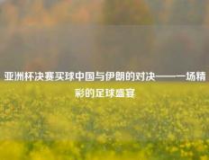 亚洲杯决赛买球中国与伊朗的对决——一场精彩的足球盛宴