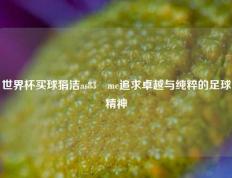 世界杯买球狷洁as83婰me追求卓越与纯粹的足球精神