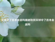 买球中了连本金返吗揭秘如何买球中了连本金返吗