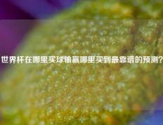 世界杯在哪里买球输赢哪里买到最靠谱的预测？
