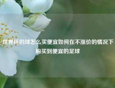 世界杯的球怎么买便宜如何在不涨价的情况下购买到便宜的足球