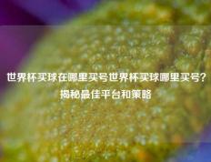 世界杯买球在哪里买号世界杯买球哪里买号？揭秘最佳平台和策略