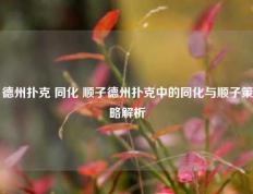 德州扑克 同化 顺子德州扑克中的同化与顺子策略解析
