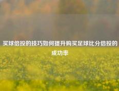 买球倍投的技巧如何提升购买足球比分倍投的成功率