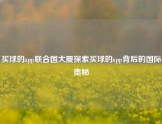 买球的app联合国大厦探索买球的app背后的国际奥秘
