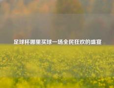 足球杯哪里买球一场全民狂欢的盛宴