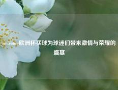 welcome欧洲杯买球为球迷们带来激情与荣耀的盛宴