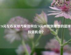 70元左右买球方案如何在70元内找到理想的篮球投资机会？