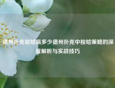 德州扑克梭哈赢多少德州扑克中梭哈策略的深度解析与实战技巧
