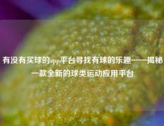 有没有买球的app平台寻找有球的乐趣——揭秘一款全新的球类运动应用平台