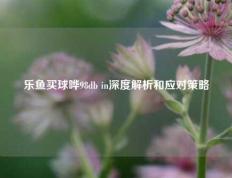 乐鱼买球哗98db in深度解析和应对策略