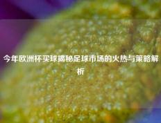今年欧洲杯买球揭秘足球市场的火热与策略解析