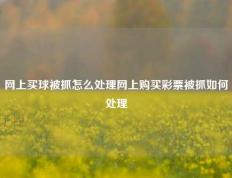 网上买球被抓怎么处理网上购买彩票被抓如何处理