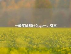 一般买球都什么app一、引言