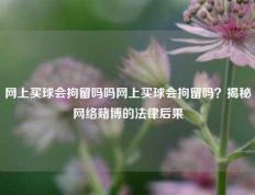 网上买球会拘留吗吗网上买球会拘留吗？揭秘网络赌博的法律后果