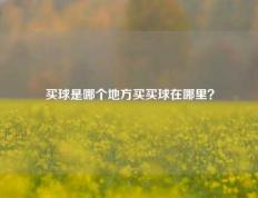 买球是哪个地方买买球在哪里？