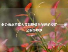 老公有点积蓄去买球爱情与梦想的交汇——老公的小球梦