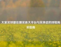 大家买球都在哪买各大平台与实体店的球鞋购买指南