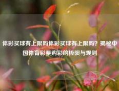 体彩买球有上限吗体彩买球有上限吗？揭秘中国体育彩票购彩的极限与规则
