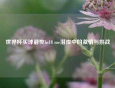 世界杯买球潜夜bs18 me潜夜中的激情与挑战